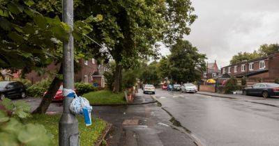 Longsight crash leaves pedestrians with 'life changing' and 'serious' injuries