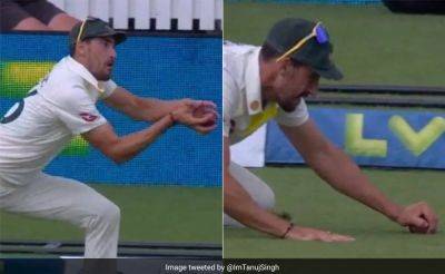 Watch: Mitchell Starc's 'Grounded' Catch Triggers Controversy. Here's Why It Was Not Out