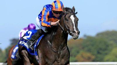 Aidan O'Brien has designs on a century of Classics with Auguste Rodin