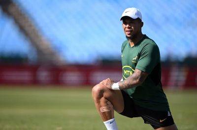 Elton still in business? Nienaber doesn't rule out Springbok game time for fringe pivot