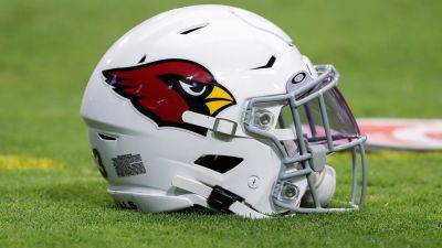 Cardinals take jab at Elon Musk over Twitter rebrand: 'We liked the bird better'