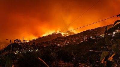 Sicily travel warning: Wildfires force evacuation of tourists and temporarily close Palermo airport