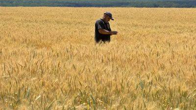 Eastern European countries push for bans on Ukrainian grain to be extended until end of year