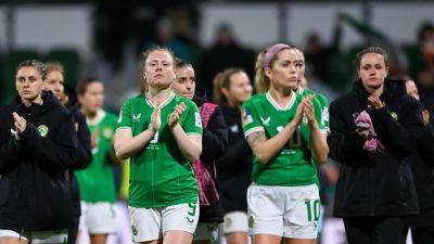 Harsh lessons at the top table but Ireland will be back