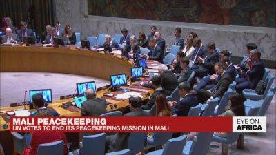 UN Security Council votes to end peacekeeping mission in Mali