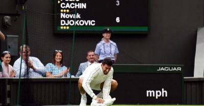 Novak Djokovic eases to opening Wimbledon win after farcical delay