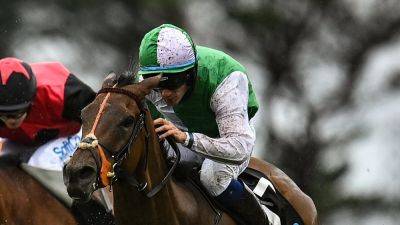 Willie Mullins - Teed Up digs deep to claim Galway victory - rte.ie - county Ray