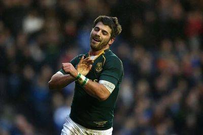 Signing spree continues as Bulls welcome Bok fullback Willie le Roux to Loftus