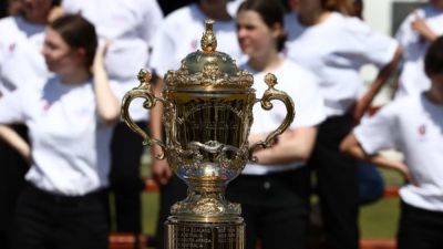 Shortened Rugby Championship provides World Cup litmus test