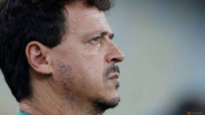 Diniz appointed interim Brazil coach as Ancelotti pursuit continues