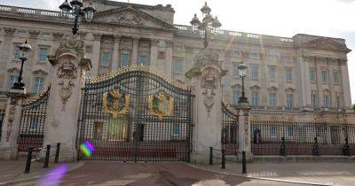Cordon in place as man remains handcuffed to gates of Buckingham Palace with 'self-inflicted slash injuries'