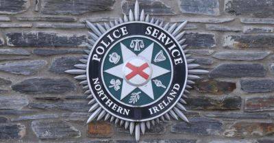 Two injured during stabbing at GAA match in Co Tyrone