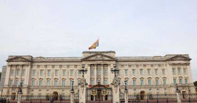 Man arrested after being handcuffed to Buckingham Palace gates for nearly EIGHT hours