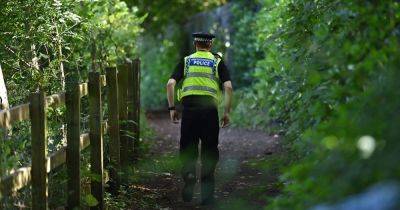Body of man found in woods with police cordon in place