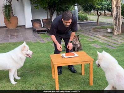 Watch: A Glimpse Of MS Dhoni's Special Birthday Celebration, Shared By The Legend Himself