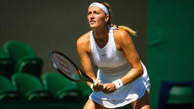 Petra Kvitova - Wimbledon 2023: Petra Kvitova says win over Aliaksandra Sasnovich was 'hell' after insect swarm - eurosport.com - Czech Republic