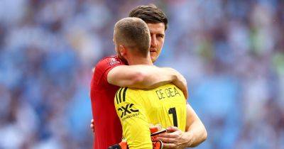 Manchester United players send messages to David De Gea after exit confirmed