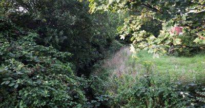 Emergency services scrambled after woman in water at Worsley Brook