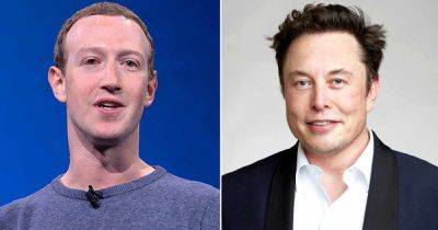 Dana White - Mike Tyson - Elon Musk - Georges St Pierre - Zuckenberg, Musk may settle business dispute in the rings - guardian.ng - Italy - Brazil