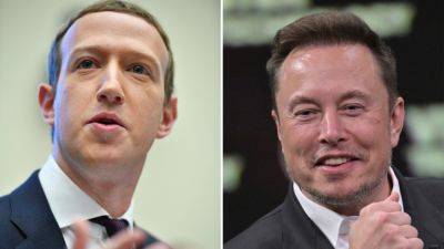 Elon Musk - Musk says cage fight with Zuckerberg will be in Italy - guardian.ng - Italy - Washington