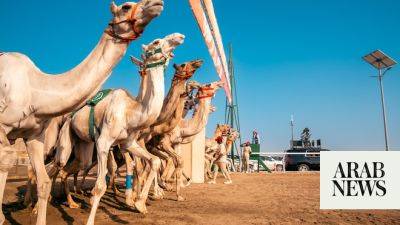 Bayern Munich - Pga Tour - Harry Kane - Shakib Al-Hasan - Lucas Glover - Jude Championship - Value of camels in Crown Prince Camel Festival preliminary stage reaches SR3bn for first time - arabnews.com - Qatar - France - Switzerland - Usa - Egypt - Sudan - Uae - Saudi Arabia - Bahrain - Jordan - Oman - Bangladesh - Pakistan - Kuwait