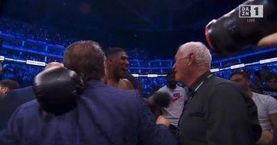 Anthony Joshua - Eddie Hearn - Robert Helenius - Conor Macgregor - Dillian Whyte - Star - Anthony Joshua shuts Conor McGregor up after 'b****' blast as he backs up mate amid post fight spat - dailyrecord.co.uk - Scotland - Instagram