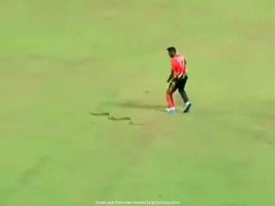 Watch: Ex-RCB Star's Lucky Escape After Timely Spotting Snake On Field In LPL