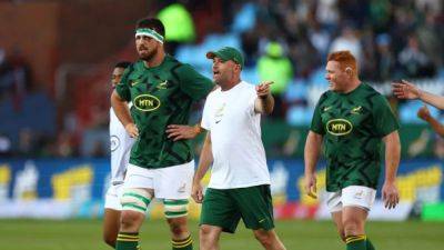 Springboks won't hold back in World Cup warm-up test against Wales