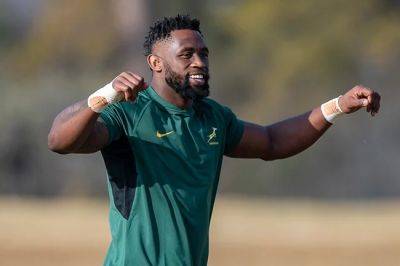 Siya Kolisi - Jacques Nienaber - Handre Pollard - Bok scrum coach coy over Kolisi return in Cardiff: 'Doesn't mean you just go out and play 80 mins' - news24.com - Argentina - county Ellis - county Park