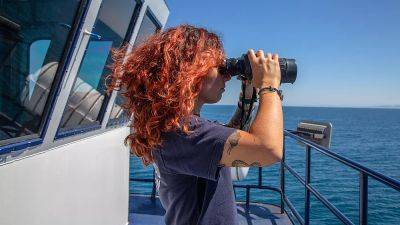 Meet the crew saving the world's most endangered marine life off the coast of Mexico
