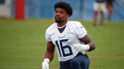 Titans wide receiver Treylon Burks expected to miss 'few weeks' with knee injury: report