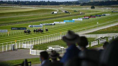 Inspections planned for The Curragh and Tramore
