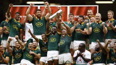 Superb South Africa put Wales to the sword with 52-16 win
