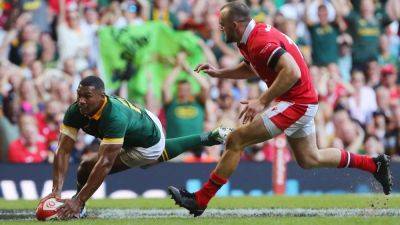 Warren Gatland - Siya Kolisi - Damian Willemse - Malcolm Marx - Willie Le-Roux - Canan Moodie - Sam Costelow - Ruthless South Africa crush inexperienced Wales - rte.ie - South Africa - New Zealand - Fiji
