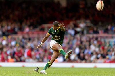 Damian Willemse - Jacques Nienaber - Manie Libbok - Upbeat Nienaber admits Springboks still have hitches to fix, but Libbok's kicking isn't one - news24.com