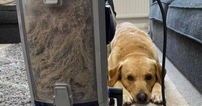 Woman 'disgusted' with contents of Shark vacuum vows never to use cordless again - manchestereveningnews.co.uk - Britain - county Power