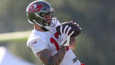 Tom Brady - Mike Evans - Cliff Welch - Justin Jefferson - Bucs' Mike Evans puts himself at the top of the list among wide receivers: 'I’ll take myself over anybody' - foxnews.com - state Minnesota - county Young - county Bay