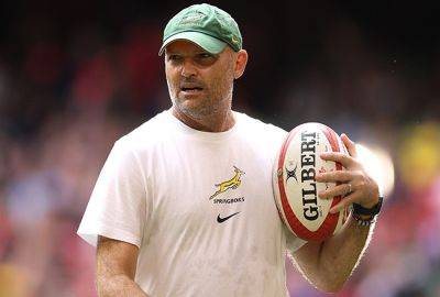 Nienaber wants more from Springboks after Wales rout: 'We have to get better in France'