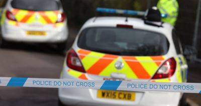 Teen threw 'large machete' into bushes and sprinted away after police chase in Trafford - manchestereveningnews.co.uk