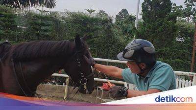 Hobi Berkuda, Pria Ini Dirikan Istana Stable di Majalengka - sport.detik.com - Indonesia
