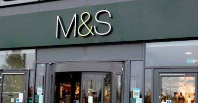 Marks and Spencer's 'luxurious' £35 jumper in five colours is 'like cashmere' and the 'perfect' staple for autumn and winter - manchestereveningnews.co.uk