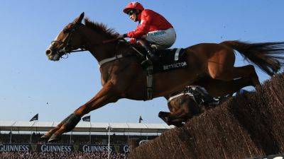 Cheltenham Festival - Death of former Champion Chaser Sire De Grugy announced - rte.ie - county Moore