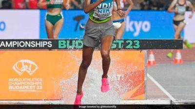 World Athletics Championships: Parul Chaudhary Breaks National Record, Men's Relay Team 5th