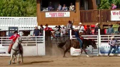 Selkirk rodeo changes its rules after horse injured during event, euthanized