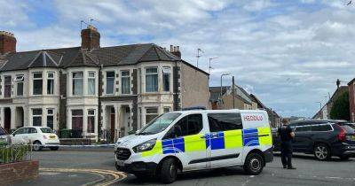 Armed police swoop on Cardiff residential street - walesonline.co.uk