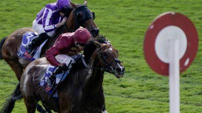 Middle Earth to be added to St Leger field - rte.ie - Britain - Qatar