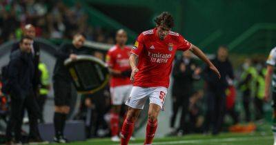 Paulo Bernardo is Celtic transfer target with unlimited potential as Benfica mentor ranks golden boy with Joao Felix