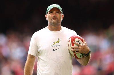Siya Kolisi - Damian Willemse - Willie Le-Roux - Frans Steyn - Jacques Nienaber - Richie Maccaw - Springbok strength in depth boosts hopes of retaining Rugby World Cup - news24.com - France - Scotland - South Africa - Japan - Ireland - New Zealand