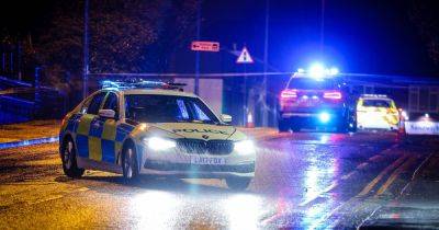 Man killed dog walker, 35, then fled - before his mate tried to cover it up
