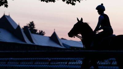 Maple Leaf Mel euthanized after collapsing in Test at Saratoga - ESPN